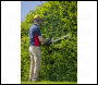 Sealey CP40VHTKIT Hedge Trimmer Kit 40V 4Ah SV20 Series 52cm