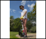 Sealey CS20VCOMBO2 SV20 Series Cordless Grass Trimmer 20V with 2Ah Battery & Charger
