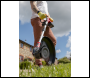 Sealey CS20VCOMBO2 SV20 Series Cordless Grass Trimmer 20V with 2Ah Battery & Charger - REFURBISHED - GRADE B