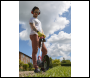 Sealey CS20VCOMBO2 SV20 Series Cordless Grass Trimmer 20V with 2Ah Battery & Charger