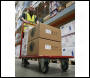 Sealey CST993 Heavy-Duty Platform Truck 250kg Capacity