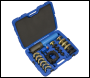 Sealey CV040 Hydraulic Bush Tool for Commercial Vehicles