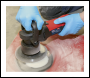 Sealey DAS149 150mm Dual Action Variable Speed Sander/Polisher 600W/230V