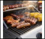 Sealey DG13 Dellonda 2 Burner Gas BBQ Grill with Piezo Ignition & Thermometer