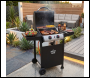 Sealey DG13 Dellonda 2 Burner Gas BBQ Grill with Piezo Ignition & Thermometer