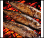 Sealey DG158 Dellonda Deluxe 16 inch (40cm) Ceramic Kamado Style BBQ
