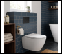 Sealey DH406 Baridi Matt Black Toilet Flush Plate with Dual Flush