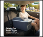 Sealey DL167 Dellonda 16L Portable Cool Box 12V/230V