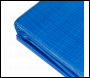 Sealey DL45 Dellonda Swimming Pool Ground Sheet for DL19