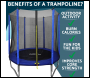Sealey DL66 Dellonda Heavy-Duty Outdoor Trampoline with Safety Enclosure Net 6ft