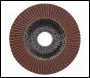 Sealey FD10040E 100mm Aluminium Oxide Flap Disc 40Grit 16mm Bore