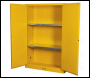 Sealey FSC10 Flammables Storage Cabinet 1095 x 460 x 1655mm