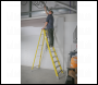 Sealey FSL10 Fibreglass Step Ladder 9-Tread - EN 131