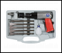 Sealey GSA11 Generation Air Hammer Kit Long Stroke
