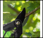 Sealey GTSG001 Bypass Secateurs with Soft Grip Handle, Safety Lock & Carbon Steel Blade, 208mm