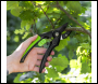 Sealey GTSG002 Anvil Secateurs with Soft Grip Handle, Safety Lock & Carbon Steel Blade, 208mm