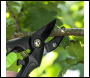Sealey GTSG002 Anvil Secateurs with Soft Grip Handle, Safety Lock & Carbon Steel Blade, 208mm