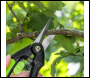 Sealey GTSG003 Pruning Snips with Soft Grip Handle & Carbon Steel Blade, 208mm