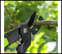 Sealey GTSG005 Anvil Secateurs with Soft Grip Handle, 3-Stage Safety Lock & Carbon Steel Blade, 220mm