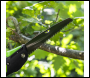 Sealey GTSG006 Folding Pruning Saw with Soft Grip Handle, 2 Cutting Positions & Carbon Steel Blade, 233mm