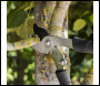 Sealey GTSG014 Bypass Lopping Shears with Soft Grip Handle, Geared & Carbon Steel Blade