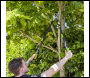 Sealey GTSG017 Telescopic Anvil Lopping Shears with Soft Grip Handle, Geared & Carbon Steel Blade