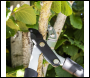 Sealey GTSG017 Telescopic Anvil Lopping Shears with Soft Grip Handle, Geared & Carbon Steel Blade