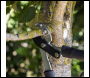 Sealey GTSG017 Telescopic Anvil Lopping Shears with Soft Grip Handle, Geared & Carbon Steel Blade