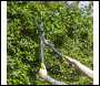 Sealey GTSG018 Hedge Shears with Soft Grip Handle & Carbon Steel Blade