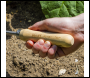 Sealey GTWH002 Premier  2-in-1 Hoe and Cultivator with Ash Handle & Stainless Steel Tines/Blade