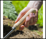 Sealey GTWH005 Premier Cultivator with Short Ash Handle & Stainless Steel Tines