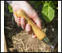 Sealey GTWH006 Premier Garden Scoop with Ash Handle & Stainless Steel Head