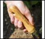 Sealey GTWH007 Premier Garden Hand Fork with Ash Handle & Stainless Steel Tines