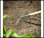 Sealey GTWH011 Premier Garden Rake with Long Ash Handle & Stainless Steel Tines