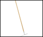 Sealey GTWH011 Premier Garden Rake with Long Ash Handle & Stainless Steel Tines