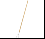 Sealey GTWH012 Premier Garden Cultivator with Ash Handle & Stainless Steel Tines