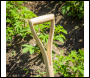 Sealey GTWH016 Premier Digging Fork with Ash Handle & Stainless Steel Tines