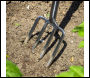 Sealey GTWH016 Premier Digging Fork with Ash Handle & Stainless Steel Tines
