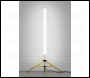 Sealey LED60110V Slim Standing 360° Floodlight 60W SMD LED 110V