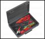 Sealey PP7 Auto Probe 3-42V DC