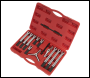 Sealey PS900 Bearing & Gear Puller Set 12pc