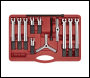 Sealey PS900 Bearing & Gear Puller Set 12pc