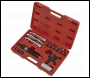 Sealey PS981 Hydraulic Puller Set 19pc