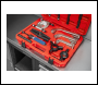 Sealey PS982 Hydraulic Puller Set 25pc