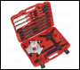Sealey PS9821 Hydraulic Bearing Separator/Puller
