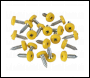 Sealey PTNP2 Numberplate Screw Plastic Enclosed Head 4.8 x 18mm Yellow Pack of 50