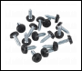 Sealey NPSSET Clip Strip Deal - Mixed Numberplate Screws