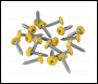 Sealey NPSSET Clip Strip Deal - Mixed Numberplate Screws