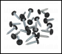 Sealey NPSSET Clip Strip Deal - Mixed Numberplate Screws