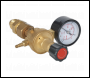 Sealey REG/KIT/MO MIG Gas Regulator Kit 1-Gauge Regulator Industrial